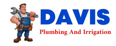 Trusted plumber in SOUTH GIBSON